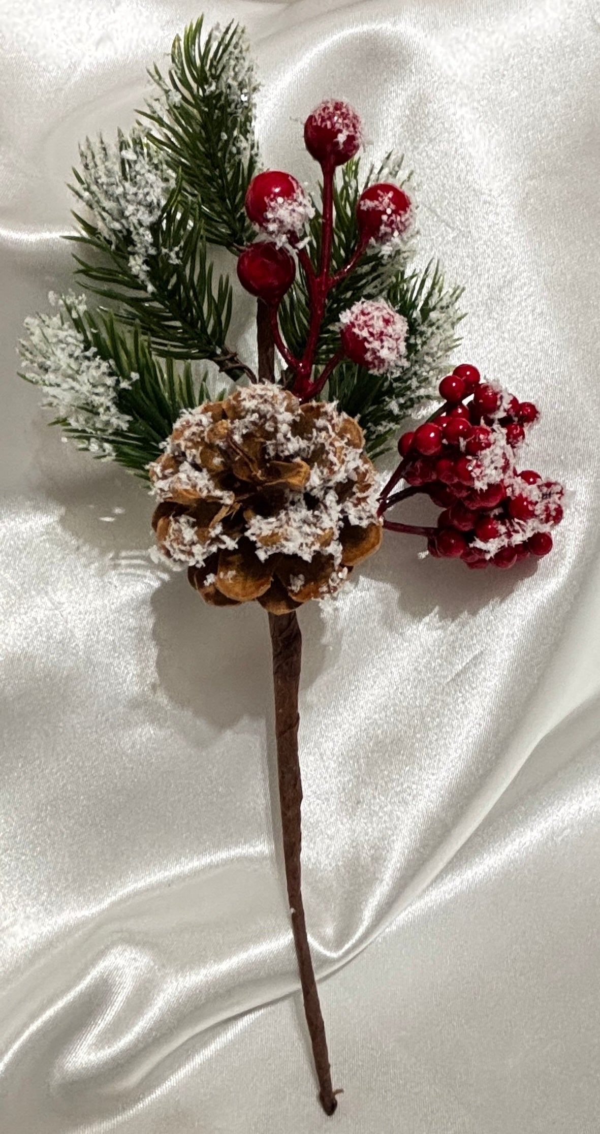 Pine with Berries and Snowy Pine Cones