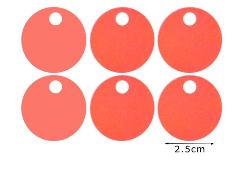 Paillettes Maxi Rotonde 2,5 cm con Foro 15GR