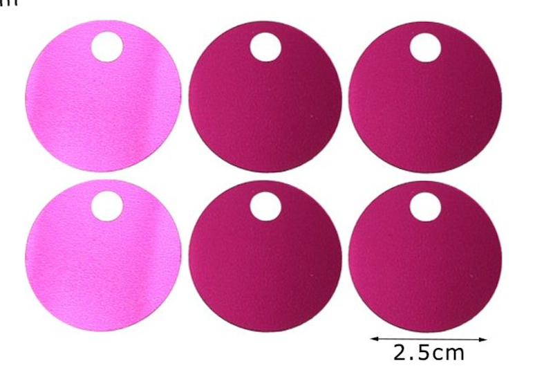 Paillettes Maxi Rotonde 2,5 cm con Foro 15GR
