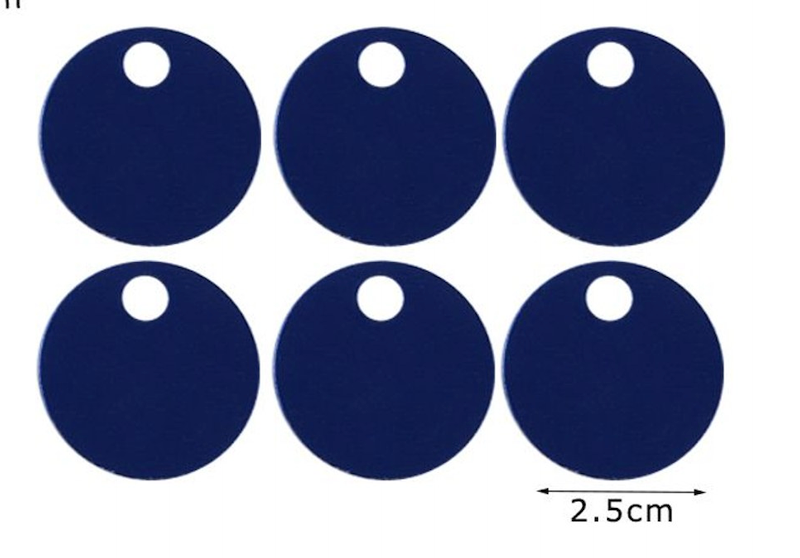 Paillettes Maxi Rotonde 2,5 cm con Foro 15GR