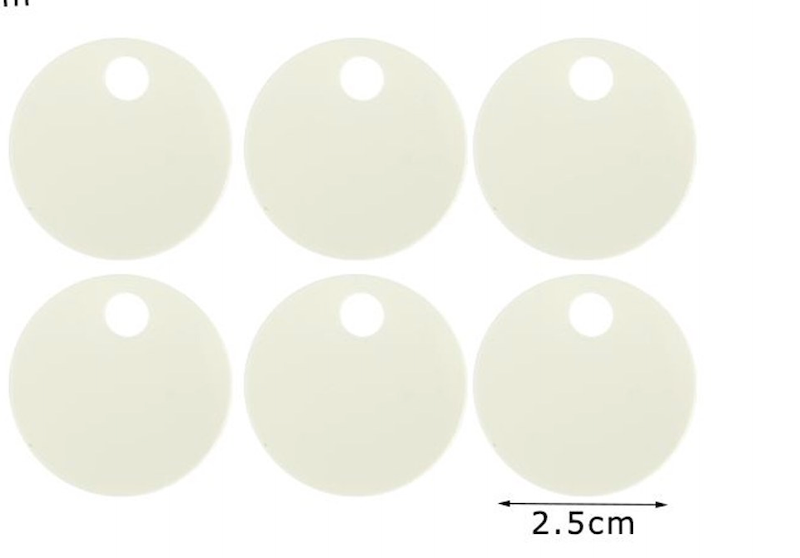 Paillettes Maxi Rotonde 2,5 cm con Foro 15GR