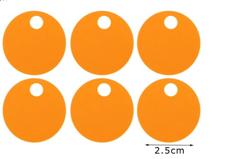 Paillettes Maxi Rotonde 2,5 cm con Foro 15GR