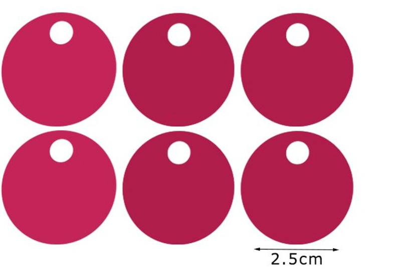 Paillettes Maxi Rotonde 2,5 cm con Foro 15GR