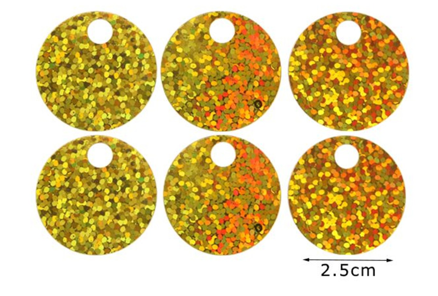 Paillettes Glitterate/brillantinate Maxi Rotonde 2,5 cm con Foro 5mm da 15GR