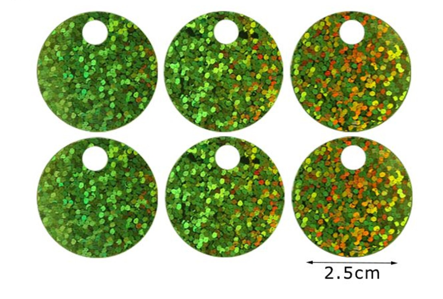 Paillettes Glitterate/brillantinate Maxi Rotonde 2,5 cm con Foro 5mm da 15GR
