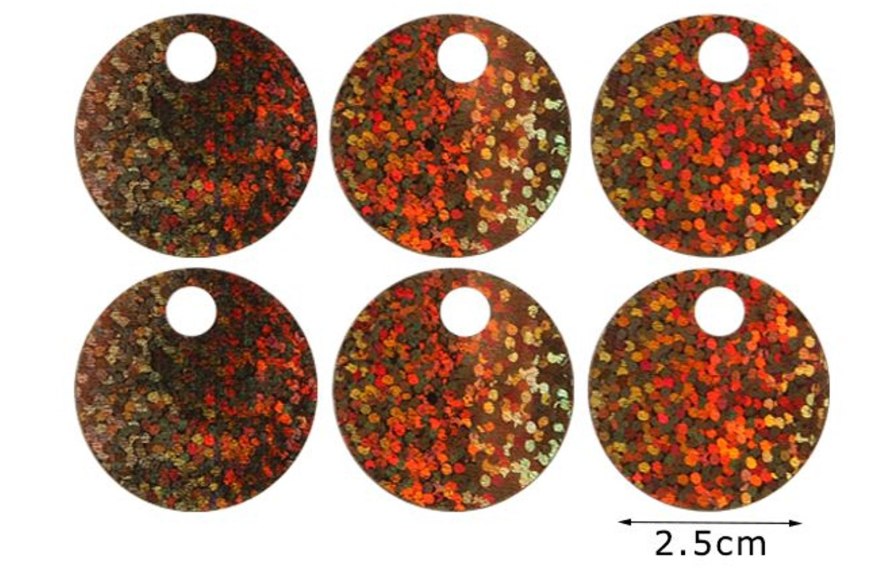 Paillettes Glitterate/brillantinate Maxi Rotonde 2,5 cm con Foro 5mm da 15GR
