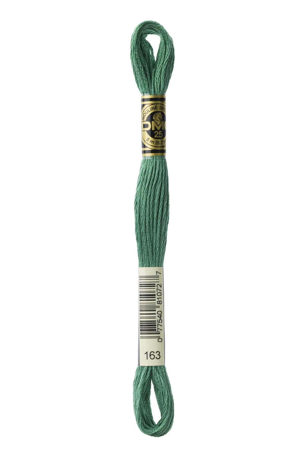 DMC Mouliné Spécial 25, colore 163, matassina da 8 metri, 100% cotone