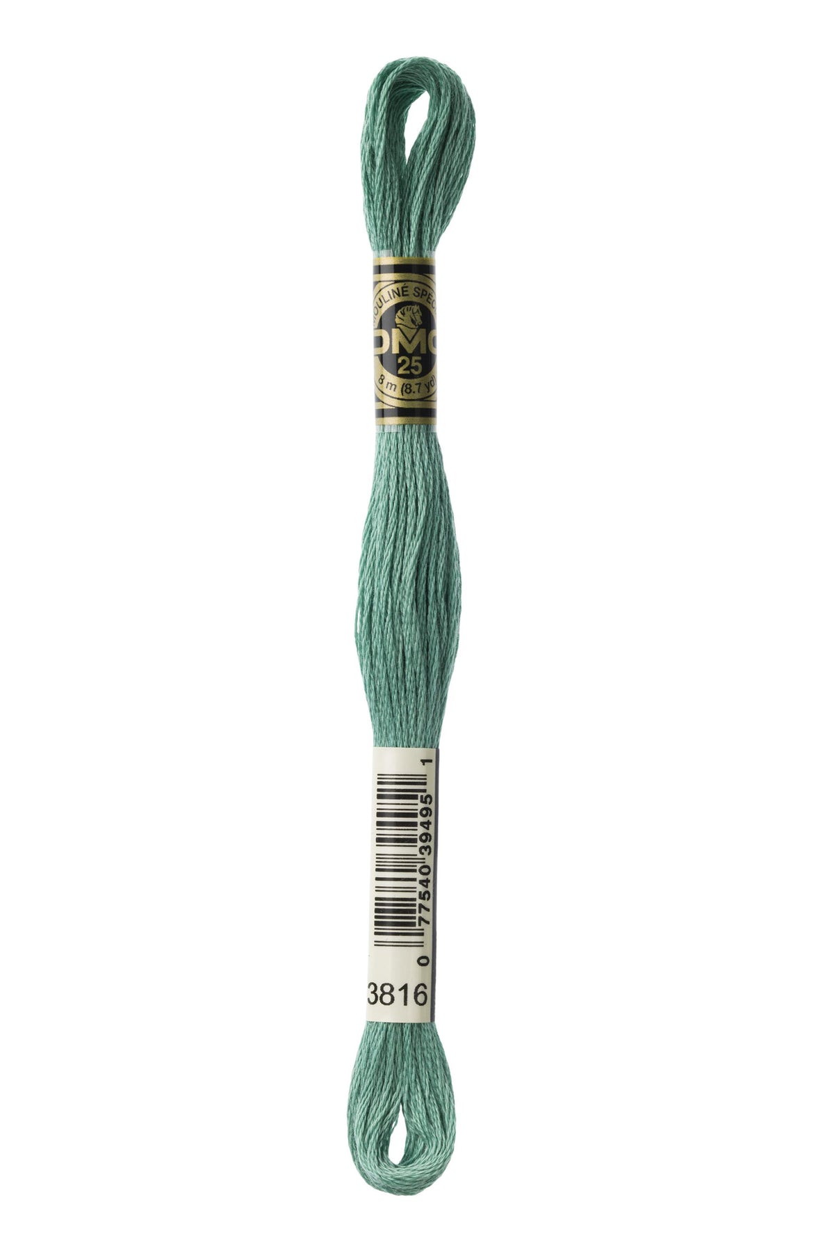 DMC Mouliné Spécial 25, colore 3816, matassina da 8 metri, 100% cotone