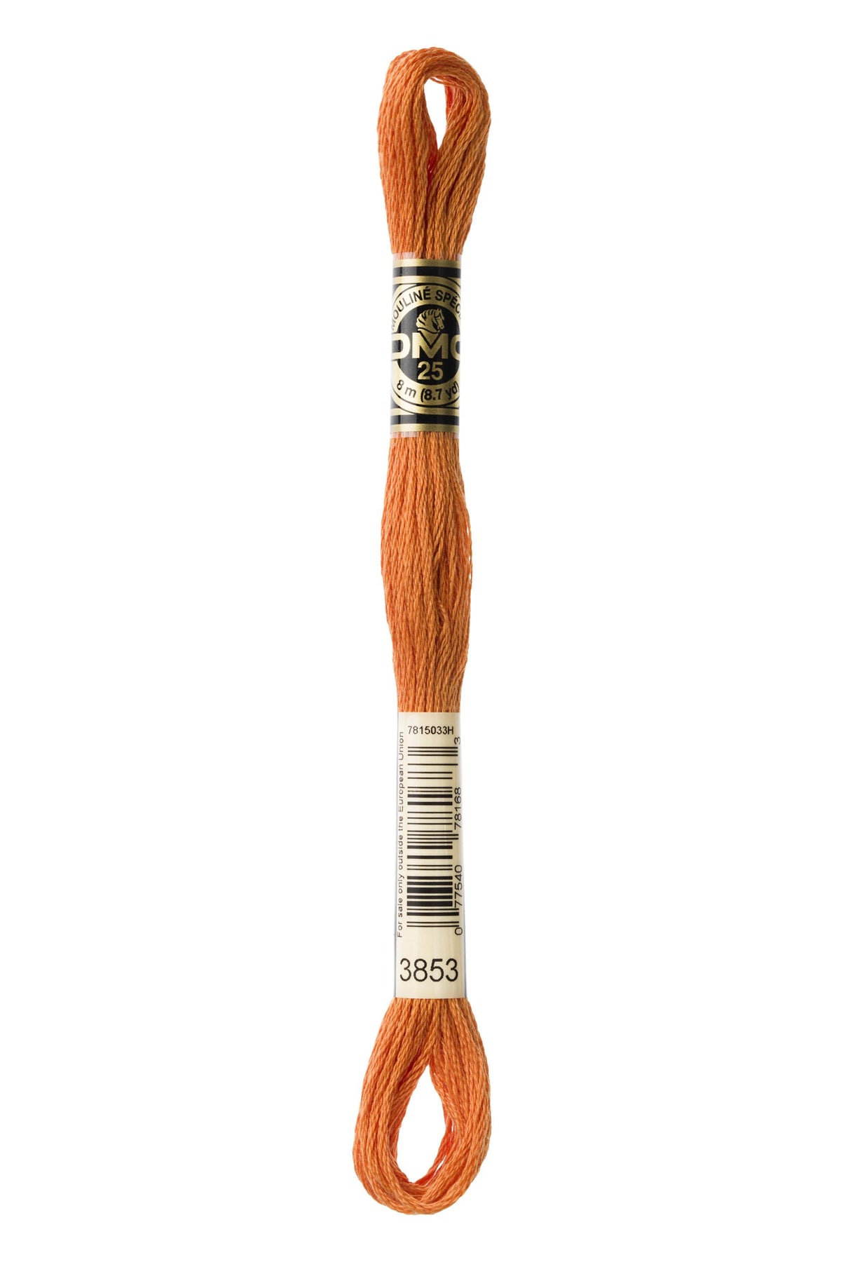 DMC Mouliné Spécial 25, colore 3853, matassina da 8 metri, 100% cotone